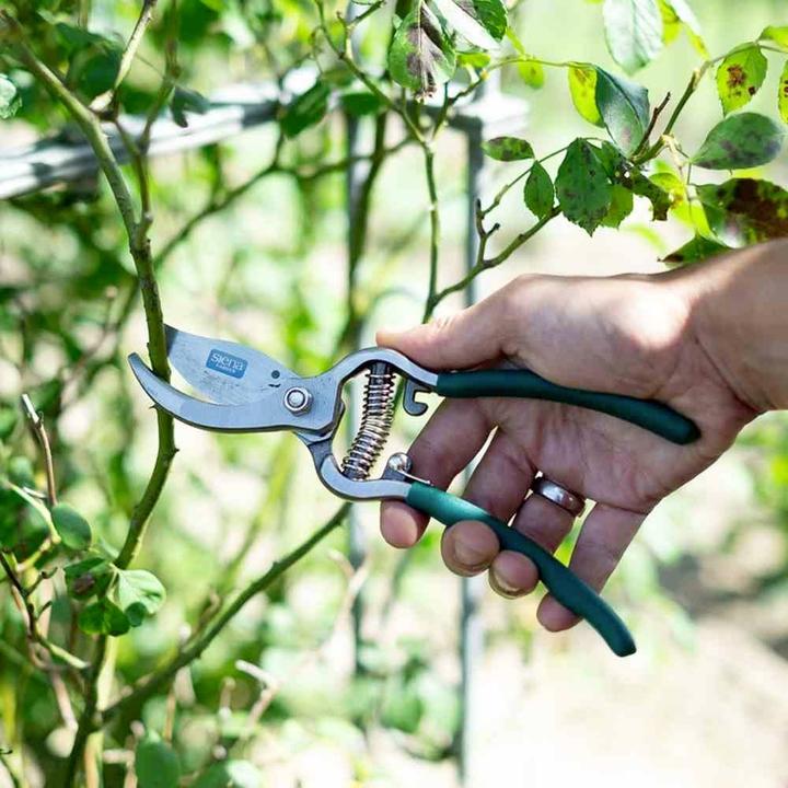 Productafbeelding Siena Garden Tuinscharen