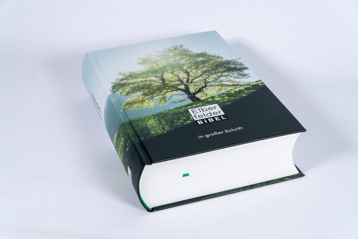 Actual product image Elberfelder Bible in large font (German, 2022)