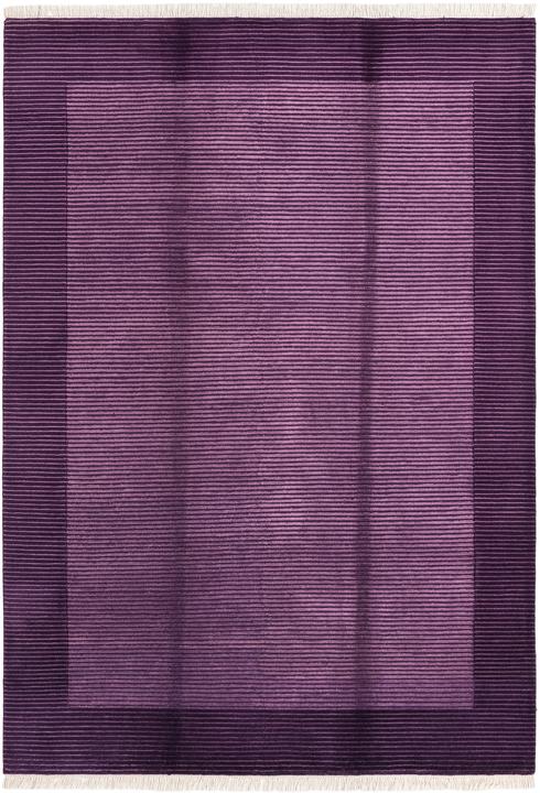 Image du produit Vidal Darya-Indian (170 x 244 cm)