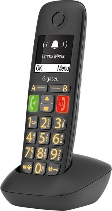 Immagine prodotto Gigaset E290HX