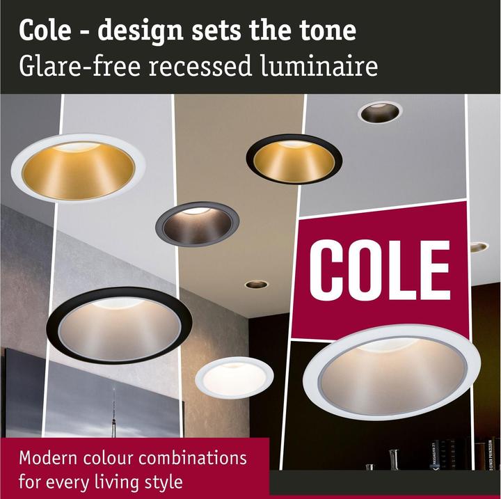 Produktbild Paulmann Cole (460 lm)