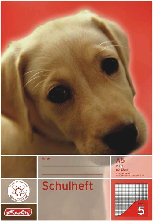 Actual product image Herlitz Exercise book x.book, DIN A5, ruling 5 / squared (A5, Checked, No binding)