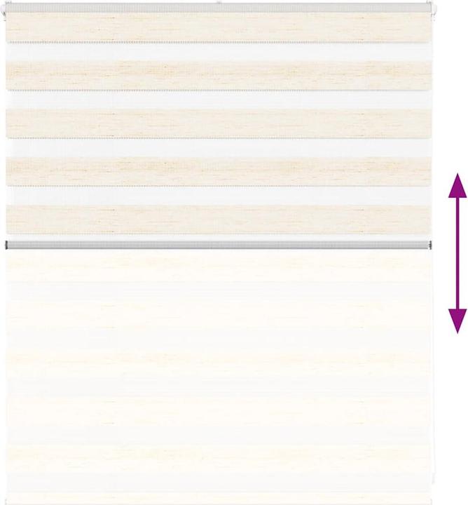 Produktbild vidaXL Zebra-Jalousie (145 x 230 cm)