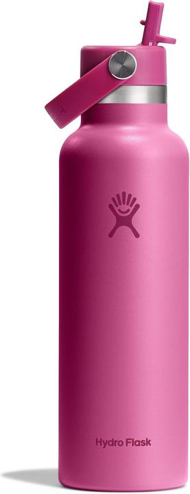 Actual product image Hydro Flask Flasche Standard Mouth Flex Straw Cap Reef (0.62 l)