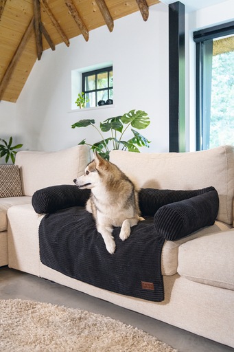 Productafbeelding Designed by Lotte Bankkussen Geribd (Hond)