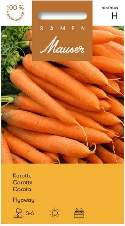 Produktbild Samen Mauser Karotte Flyaway (Gemüsesamen)