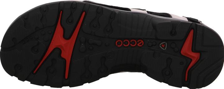 Actual product image Ecco Offroad Andes II (38)