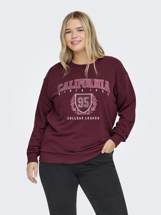 Produktbild Only CARBEN Sweatshirt Sweatshirt (42)