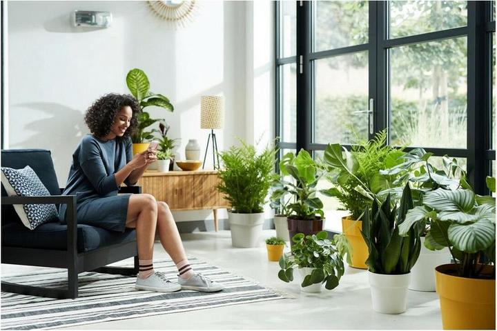 Actual product image Elho B.for Original Round (35 cm)