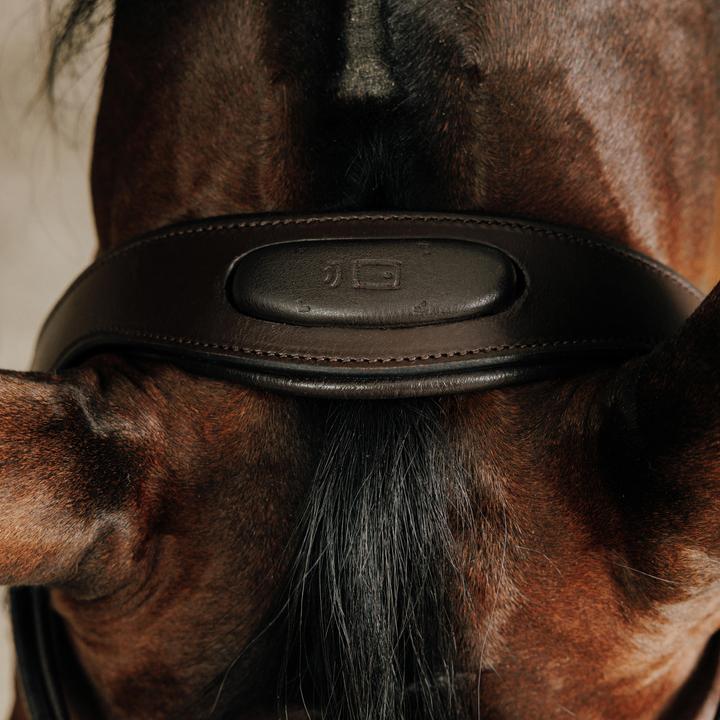 Immagine prodotto Fouganza Trense 580 Strass braun