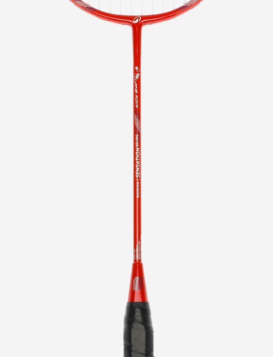 Actual product image Perfly Adult Badminton Racket Br 190 Set Partner Bleu Red