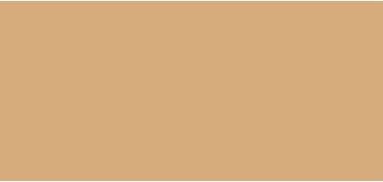 Image du produit Lancôme Teint Idole Ultra Wear Stick Beige Noisette 05 (05 Beige Noisette)