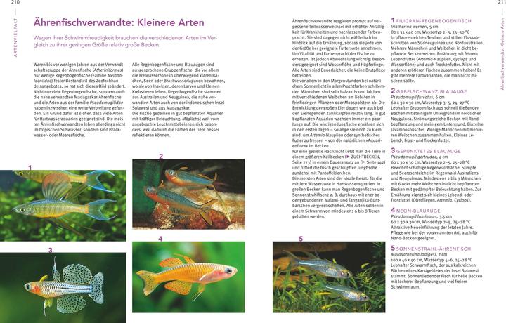 Immagine prodotto Das grosse Praxishandbuch Aquarium (Tedesco, Ulrich Schliewen, 2017)