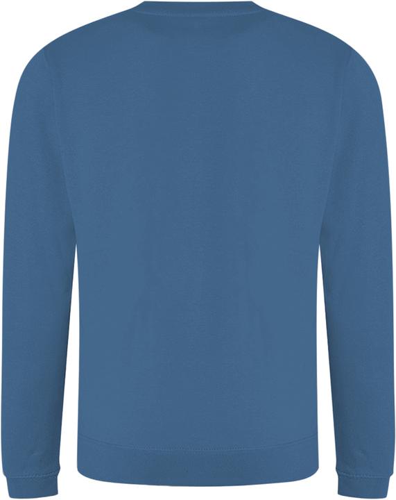 Actual product image Awdis Just Hoods Sweatshirt With Round Neckline (XXL)