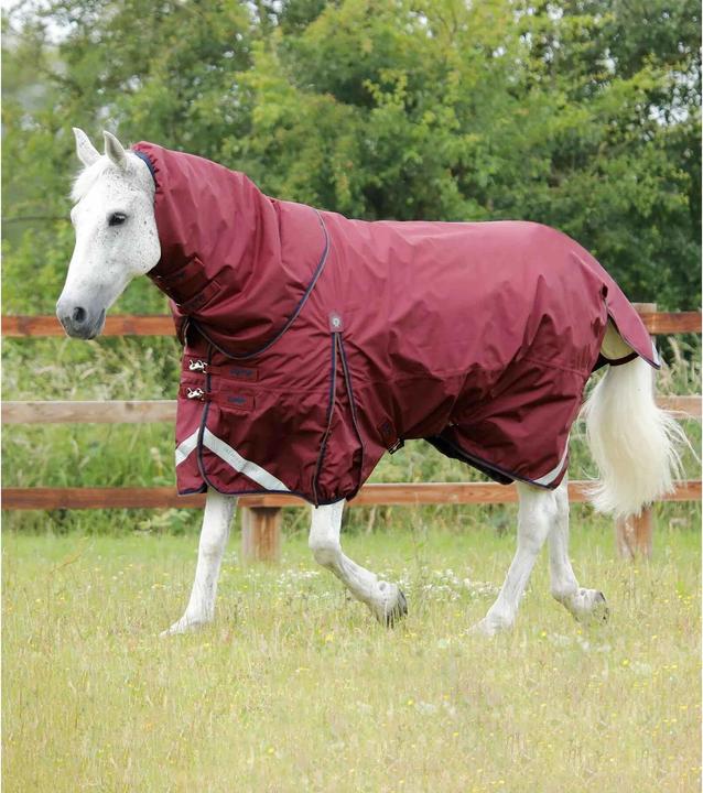 Image du produit Premier Equine Buster 400 g