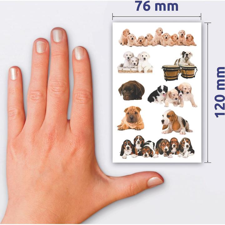 Image du produit Z-Design Sticker Creative