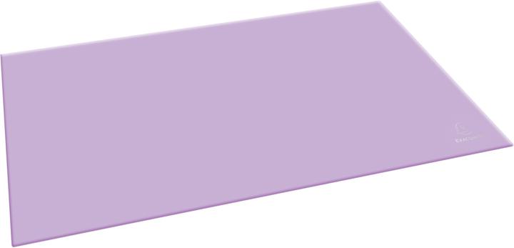 Image du produit Exacompta Sous-main (58.50 x 38.50 cm)
