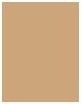 Immagine prodotto Sisley Phyto-Cernes Eclat (3)
