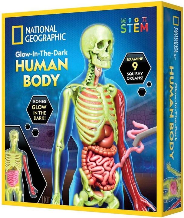 National Geographic Human Body Science Kit (29-2454)