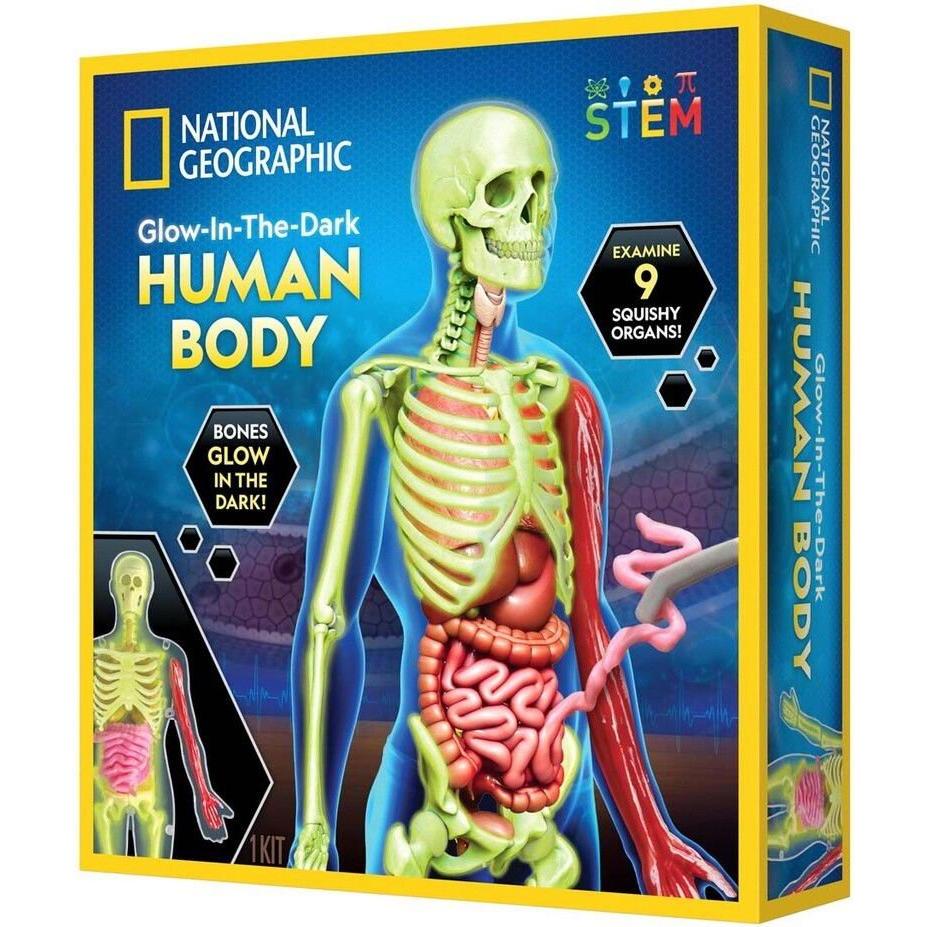 National Geographic Human Body Science Kit (29-2454)