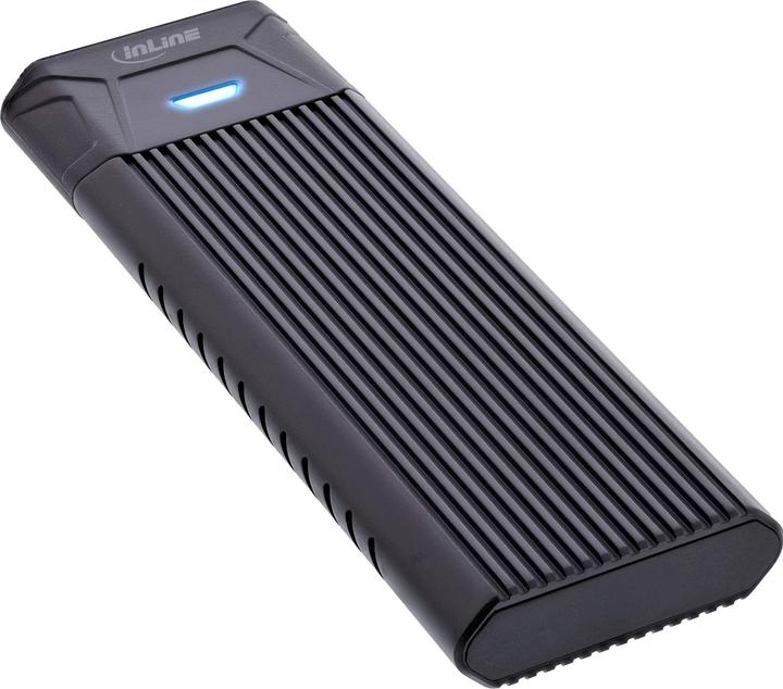InLine Memory housing (M.2)