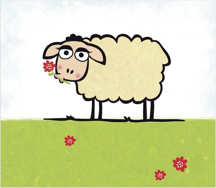 Actual product image Daiber 1x25 sheep 13x18 children portrait folders (13 x 18 cm, 1 x)