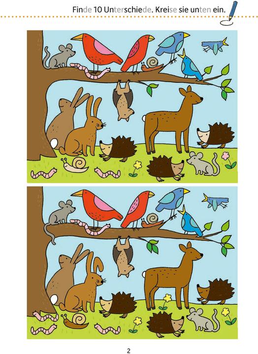 Image du produit Maier:Mon cahier d'exercices de concentration - 1 (Allemand, Maier, Ulrike, 2024)