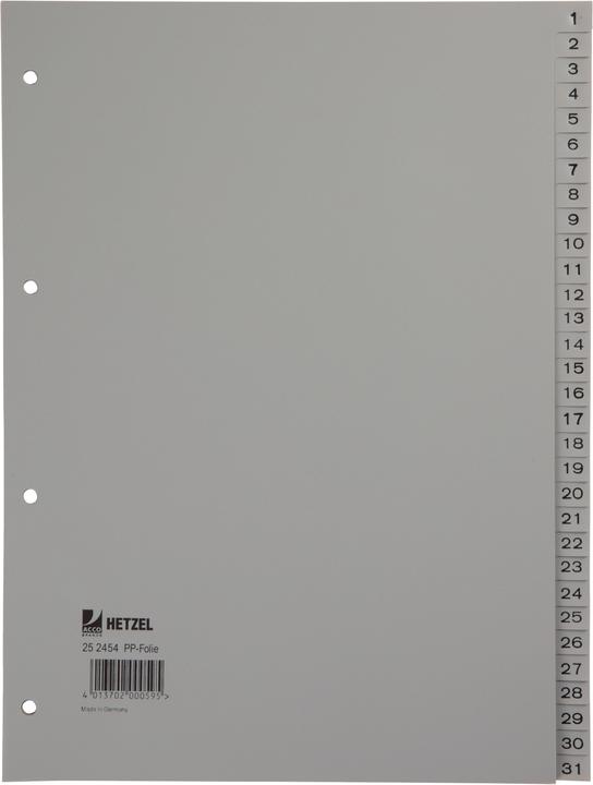 Actual product image Rexel Plastic register for A4