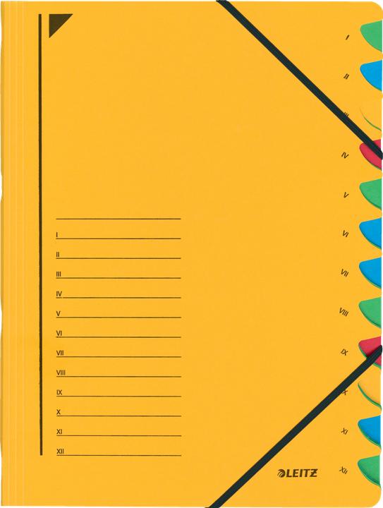 Actual product image Leitz Folder (A4, 1 x)