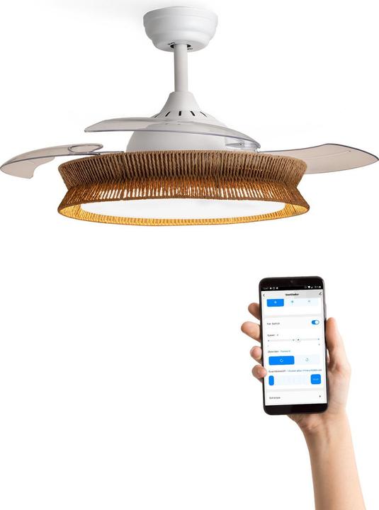 Immagine prodotto Create Wind Clear Rattan (45 dB)