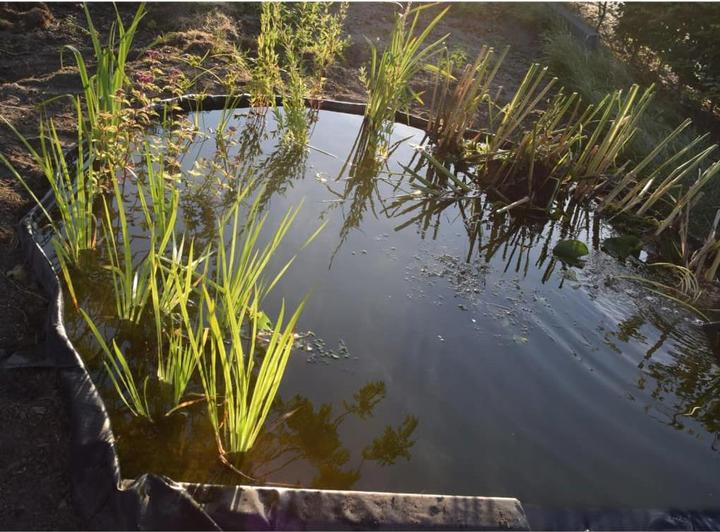 Produktbild Ubbink Gartengrenze (1500 cm)