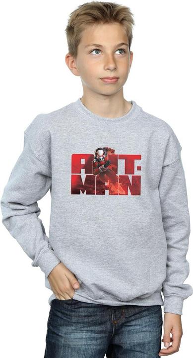 Produktbild Jungen AntMan LaufSweatshirt (152, 158)