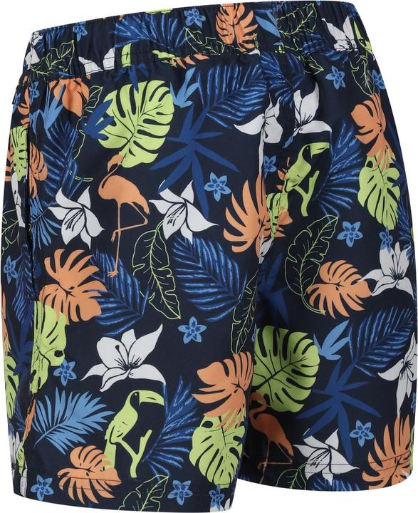 Produktbild Regatta Skander II Kurze Hose