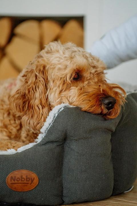 Produktbild Nobby Komfort Bett oval CACHO (Hund)