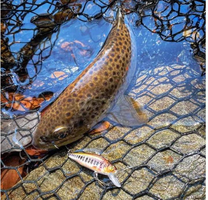 Produktbild Stucki Thun Quarry 50 FS (5 cm)