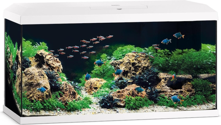 Juwel Primo Acquario 110l (110 l)