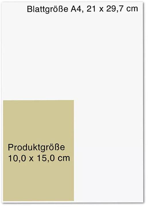Produktbild Buddhas kleines Weisungsbuch (Deutsch, Jack Kornfield, 2021)