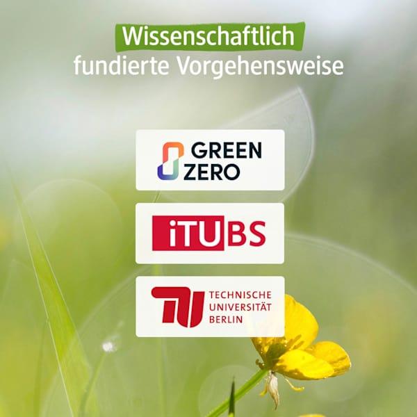 Immagine prodotto dm alverde Olio Relax Care Rosa Selvatica Biologica, Olivello Spinoso Biologico (Olio corpo, 100 ml)