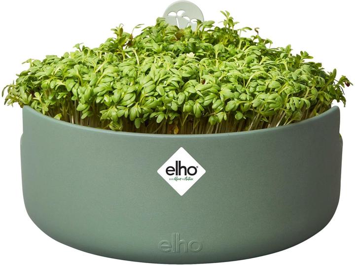 Actual product image Elho Magic Microgreens (16.80 cm)