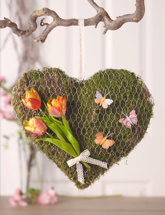 Immagine prodotto VBS Muschio per piastre, 50 g