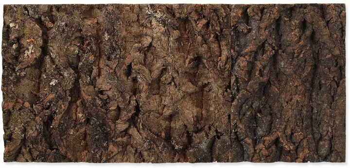 Produktbild Repti Planet Kork-Rück Wand 48.8 x 22.7 x 2 cm