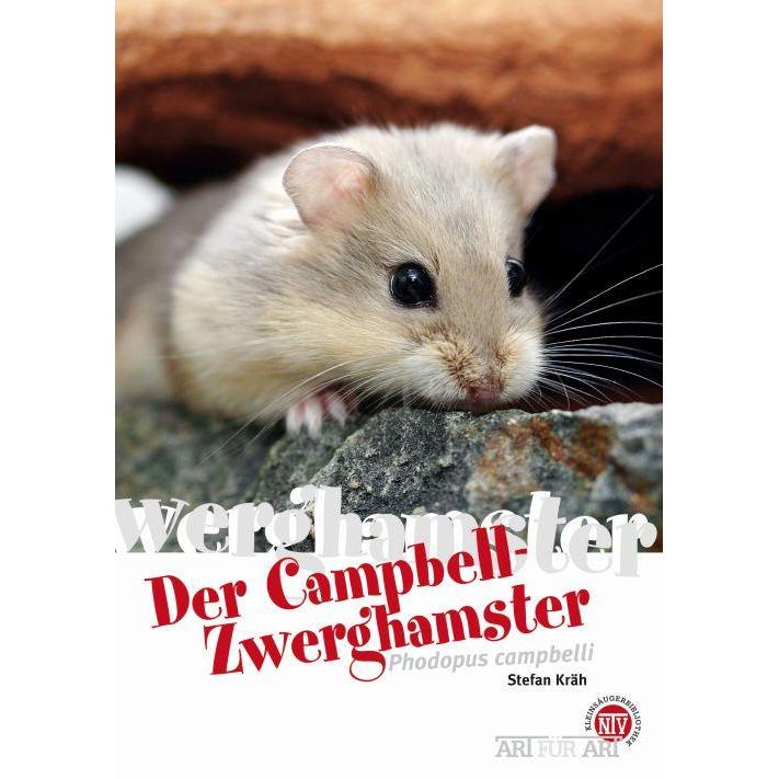 Der Campbell-Zwerghamster, Ratgeber von Stefan Kröh