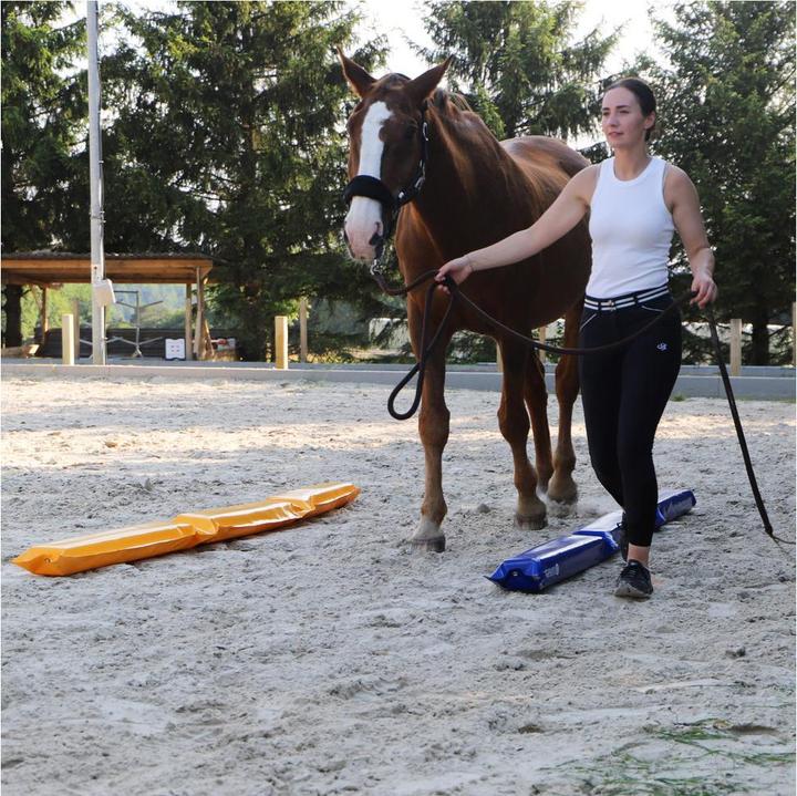 Immagine prodotto Dönges Set vicolo dei cavalli