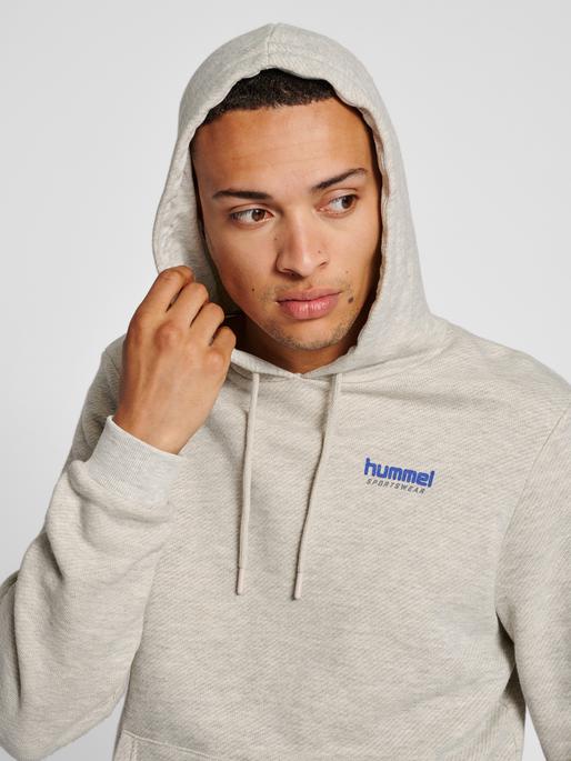 Image du produit hummel Lgc Austin Hoodie (L)
