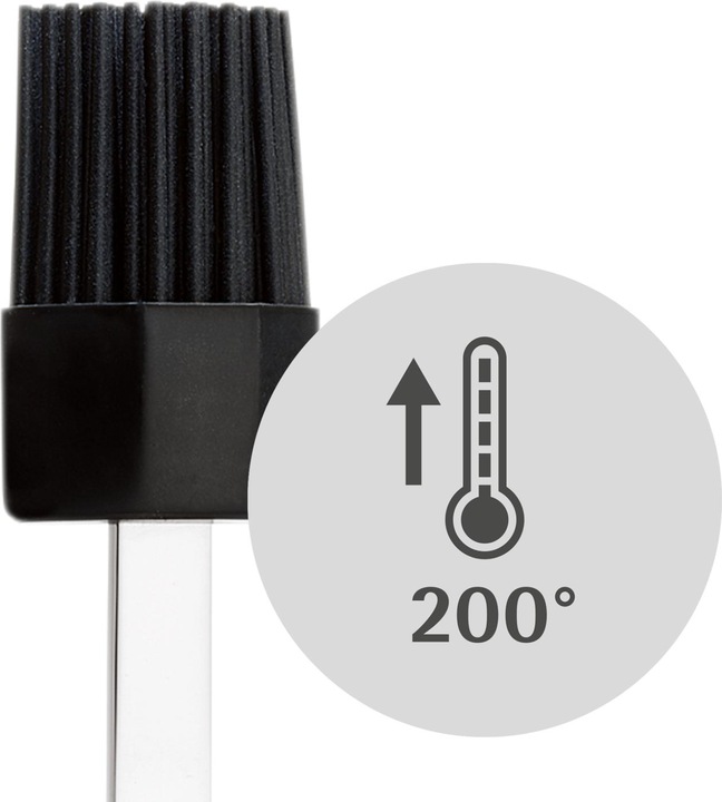 Actual product image WMF Professional Plus