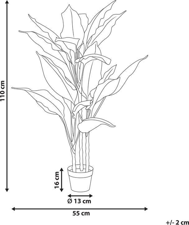 Immagine prodotto Beliani Dieffenbachia (110 cm)
