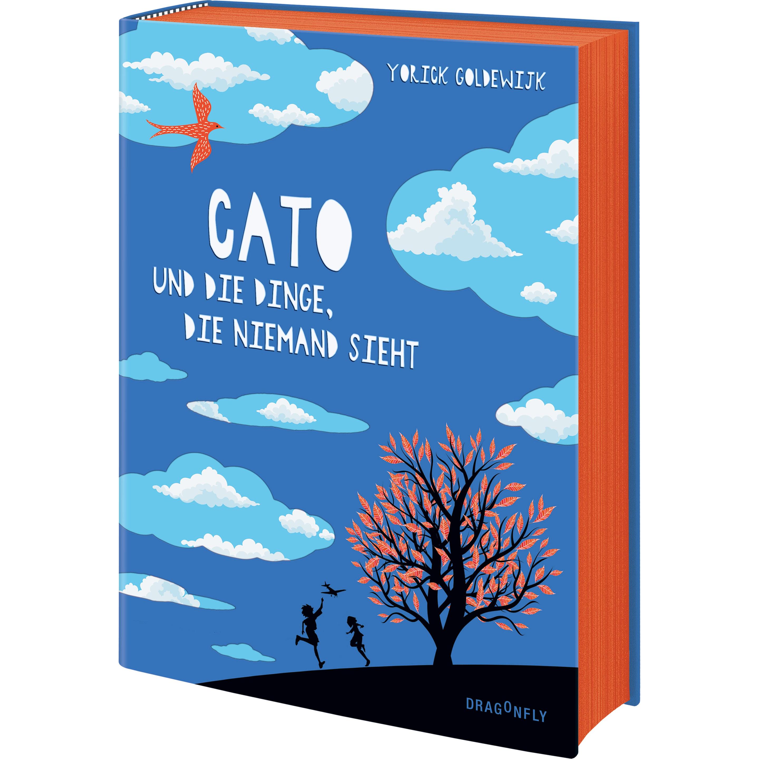 Cato und die Dinge, die niemand sieht, Kinderbücher von Sonja Fiedler-Tresp, Yorick Goldewijk