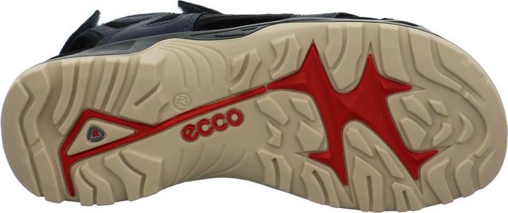 Actual product image Ecco Offroad Yucatan Sandal (41)