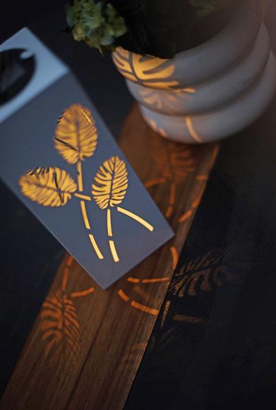 Image du produit Star Trading Décoration intérieure Windo