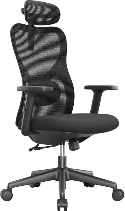 Apollo Vyra (43 - 55.50 cm)